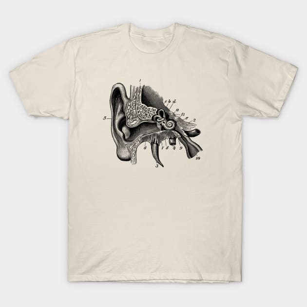 Inner Ear Anatomy Diagram T-Shirt by Vintage Anatomy Prints